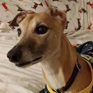 Meet your Posher, Kay